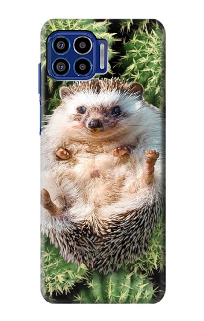 W3863 Pygmy Hedgehog Dwarf Hedgehog Paint Funda Carcasa Case y Caso Del Tirón Funda para Motorola One 5G