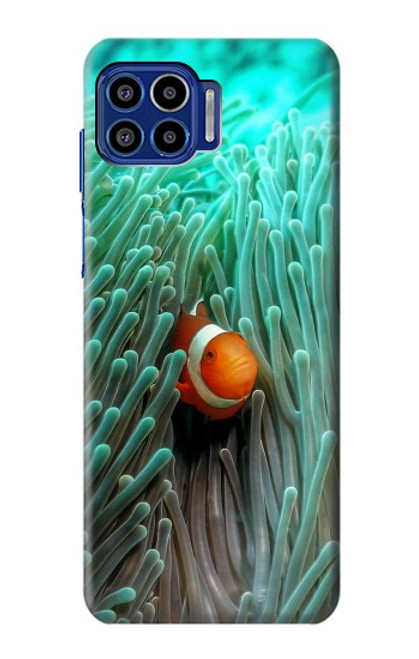 W3893 Ocellaris clownfish Funda Carcasa Case y Caso Del Tirón Funda para Motorola One 5G