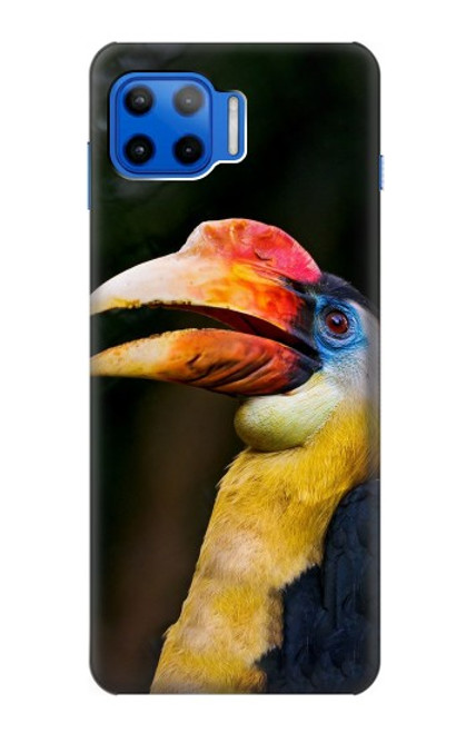 W3876 Colorful Hornbill Funda Carcasa Case y Caso Del Tirón Funda para Motorola Moto G 5G Plus