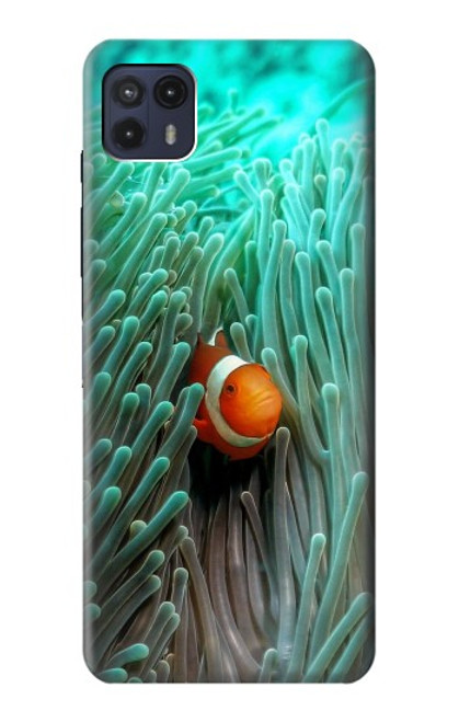 W3893 Ocellaris clownfish Funda Carcasa Case y Caso Del Tirón Funda para Motorola Moto G50 5G