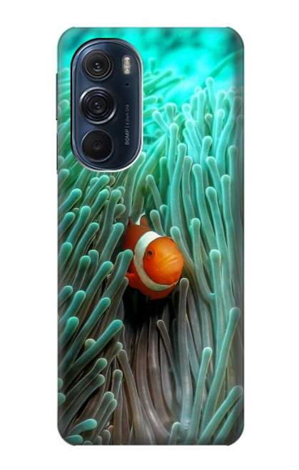 W3893 Ocellaris clownfish Funda Carcasa Case y Caso Del Tirón Funda para Motorola Edge X30