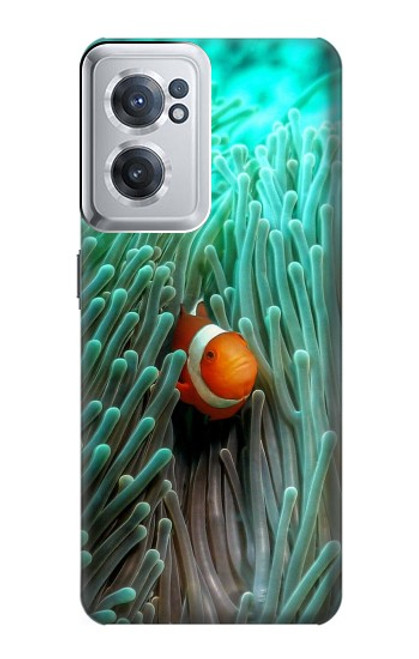 W3893 Ocellaris clownfish Funda Carcasa Case y Caso Del Tirón Funda para OnePlus Nord CE 2 5G