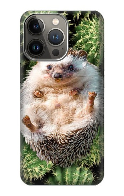 W3863 Pygmy Hedgehog Dwarf Hedgehog Paint Funda Carcasa Case y Caso Del Tirón Funda para iPhone 14 Pro