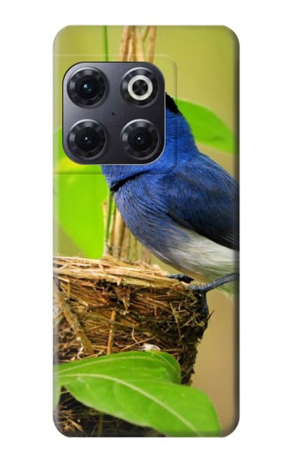 W3839 Bluebird of Happiness Blue Bird Funda Carcasa Case y Caso Del Tirón Funda para OnePlus 10T