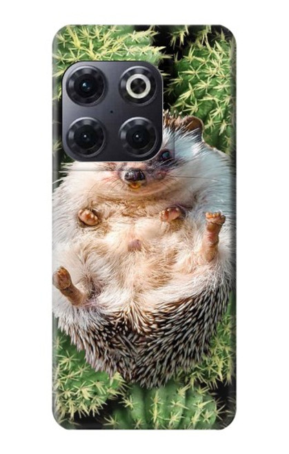 W3863 Pygmy Hedgehog Dwarf Hedgehog Paint Funda Carcasa Case y Caso Del Tirón Funda para OnePlus 10T