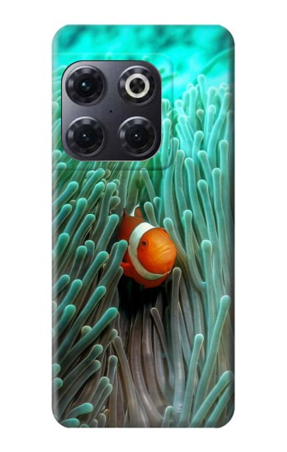 W3893 Ocellaris clownfish Funda Carcasa Case y Caso Del Tirón Funda para OnePlus 10T