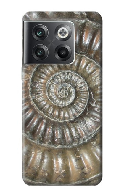 W1788 Ammonite Fossil Funda Carcasa Case y Caso Del Tirón Funda para OnePlus Ace Pro