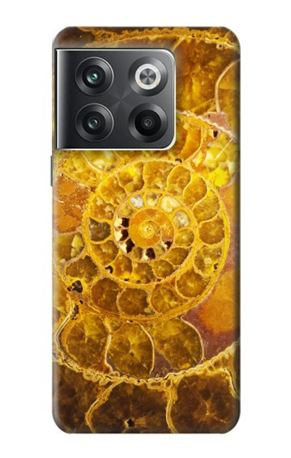 W1789 Ammonite Fossils Funda Carcasa Case y Caso Del Tirón Funda para OnePlus Ace Pro