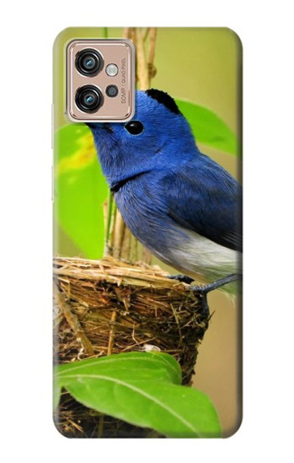 W3839 Bluebird of Happiness Blue Bird Funda Carcasa Case y Caso Del Tirón Funda para Motorola Moto G32