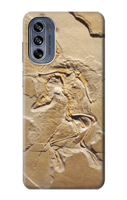 W0380 Dinosaur Fossil Funda Carcasa Case y Caso Del Tirón Funda para Motorola Moto G62 5G