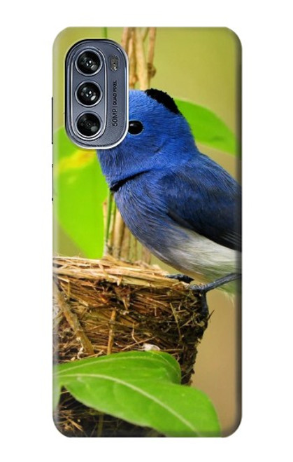 W3839 Bluebird of Happiness Blue Bird Funda Carcasa Case y Caso Del Tirón Funda para Motorola Moto G62 5G