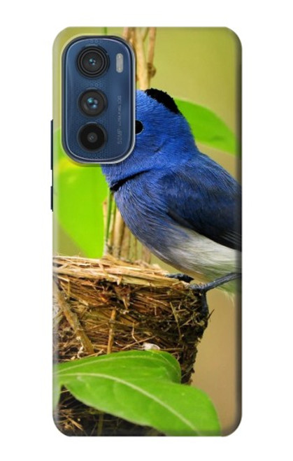 W3839 Bluebird of Happiness Blue Bird Funda Carcasa Case y Caso Del Tirón Funda para Motorola Edge 30