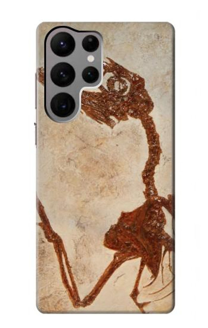 W0379 Dinosaur Fossil Funda Carcasa Case y Caso Del Tirón Funda para Samsung Galaxy S23 Ultra