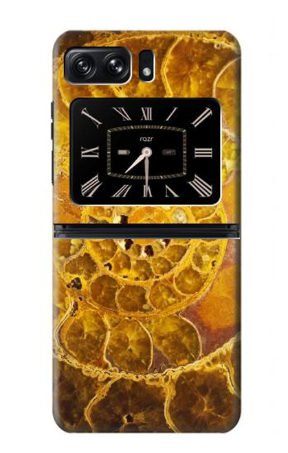 W1789 Ammonite Fossils Funda Carcasa Case y Caso Del Tirón Funda para Motorola Moto Razr 2022