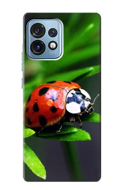 W0263 Ladybug Funda Carcasa Case y Caso Del Tirón Funda para Motorola Edge+ (2023), X40, X40 Pro, Edge 40 Pro