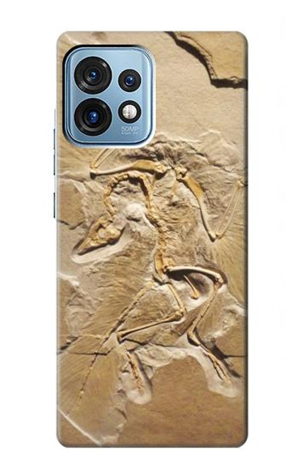 W0380 Dinosaur Fossil Funda Carcasa Case y Caso Del Tirón Funda para Motorola Edge+ (2023), X40, X40 Pro, Edge 40 Pro