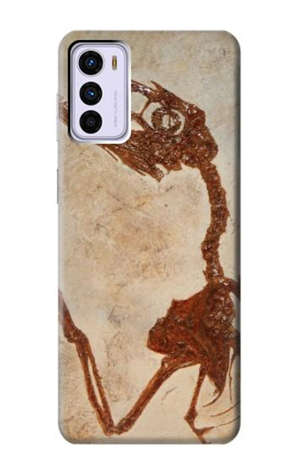 W0379 Dinosaur Fossil Funda Carcasa Case y Caso Del Tirón Funda para Motorola Moto G42