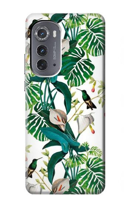 W3697 Leaf Life Birds Funda Carcasa Case y Caso Del Tirón Funda para Motorola Edge (2022)