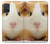 W1619 Cute Guinea Pig Funda Carcasa Case y Caso Del Tirón Funda para Samsung Galaxy A71 5G [solo para A71 5G. NO para A71]