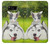 W3795 Grumpy Kitten Cat Playful Siberian Husky Dog Paint Funda Carcasa Case y Caso Del Tirón Funda para Samsung Galaxy S8 Plus