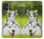 W3795 Grumpy Kitten Cat Playful Siberian Husky Dog Paint Funda Carcasa Case y Caso Del Tirón Funda para Samsung Galaxy A51 5G