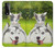 W3795 Grumpy Kitten Cat Playful Siberian Husky Dog Paint Funda Carcasa Case y Caso Del Tirón Funda para LG Stylo 7 4G