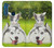 W3795 Grumpy Kitten Cat Playful Siberian Husky Dog Paint Funda Carcasa Case y Caso Del Tirón Funda para Motorola One Fusion+