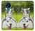W3795 Grumpy Kitten Cat Playful Siberian Husky Dog Paint Funda Carcasa Case y Caso Del Tirón Funda para Nokia 3.4