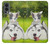 W3795 Grumpy Kitten Cat Playful Siberian Husky Dog Paint Funda Carcasa Case y Caso Del Tirón Funda para OnePlus Nord 2 5G