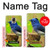 W3839 Bluebird of Happiness Blue Bird Funda Carcasa Case y Caso Del Tirón Funda para Samsung Galaxy Note 4
