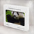 W1073 Panda Enjoy Eating Funda Carcasa Case para MacBook Pro 14 M1,M2,M3 (2021,2023) - A2442, A2779, A2992, A2918