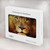 W3182 Lion Funda Carcasa Case para MacBook Pro 16 M1,M2 (2021,2023) - A2485, A2780