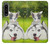 W3795 Kitten Cat Playful Siberian Husky Dog Paint Funda Carcasa Case y Caso Del Tirón Funda para Sony Xperia 1 IV