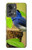 W3839 Bluebird of Happiness Blue Bird Funda Carcasa Case y Caso Del Tirón Funda para OnePlus Nord 2T