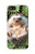 W3863 Pygmy Hedgehog Dwarf Hedgehog Paint Funda Carcasa Case y Caso Del Tirón Funda para iPhone 5C