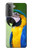 W3888 Macaw Face Bird Funda Carcasa Case y Caso Del Tirón Funda para Samsung Galaxy S21 Plus 5G, Galaxy S21+ 5G