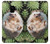 W3863 Pygmy Hedgehog Dwarf Hedgehog Paint Funda Carcasa Case y Caso Del Tirón Funda para Samsung Galaxy S9