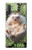 W3863 Pygmy Hedgehog Dwarf Hedgehog Paint Funda Carcasa Case y Caso Del Tirón Funda para Samsung Galaxy Note 10