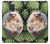 W3863 Pygmy Hedgehog Dwarf Hedgehog Paint Funda Carcasa Case y Caso Del Tirón Funda para Samsung Galaxy Note 4