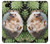 W3863 Pygmy Hedgehog Dwarf Hedgehog Paint Funda Carcasa Case y Caso Del Tirón Funda para Google Pixel 2 XL
