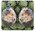 W3863 Pygmy Hedgehog Dwarf Hedgehog Paint Funda Carcasa Case y Caso Del Tirón Funda para LG G6