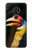 W3876 Colorful Hornbill Funda Carcasa Case y Caso Del Tirón Funda para Nokia 7.2