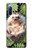 W3863 Pygmy Hedgehog Dwarf Hedgehog Paint Funda Carcasa Case y Caso Del Tirón Funda para Sony Xperia 10 III Lite