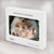 W3863 Pygmy Hedgehog Dwarf Hedgehog Paint Funda Carcasa Case para MacBook Pro 13″ - A1706, A1708, A1989, A2159, A2289, A2251, A2338