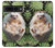 W3863 Pygmy Hedgehog Dwarf Hedgehog Paint Funda Carcasa Case y Caso Del Tirón Funda para Google Pixel 7 Pro