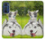 W3795 Kitten Cat Playful Siberian Husky Dog Paint Funda Carcasa Case y Caso Del Tirón Funda para Motorola Edge 30