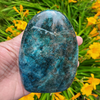 Apatite Freeform, front view held in a hand