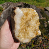 Citrine Cut Base Geodes