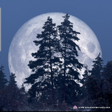 What is a Cold Moon?