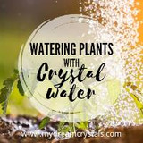 Water Your Plants with Charged Crystal Infused Water